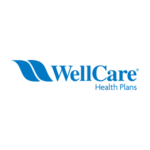 Individual Health Insurance Carrier Wellcare